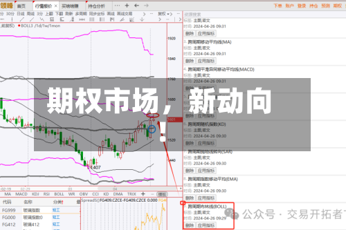 期权市场，新动向！-第1张图片
