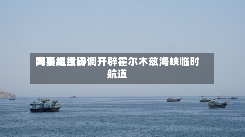 阿曼与世界海事组织协调开辟霍尔木兹海峡临时航道-第1张图片